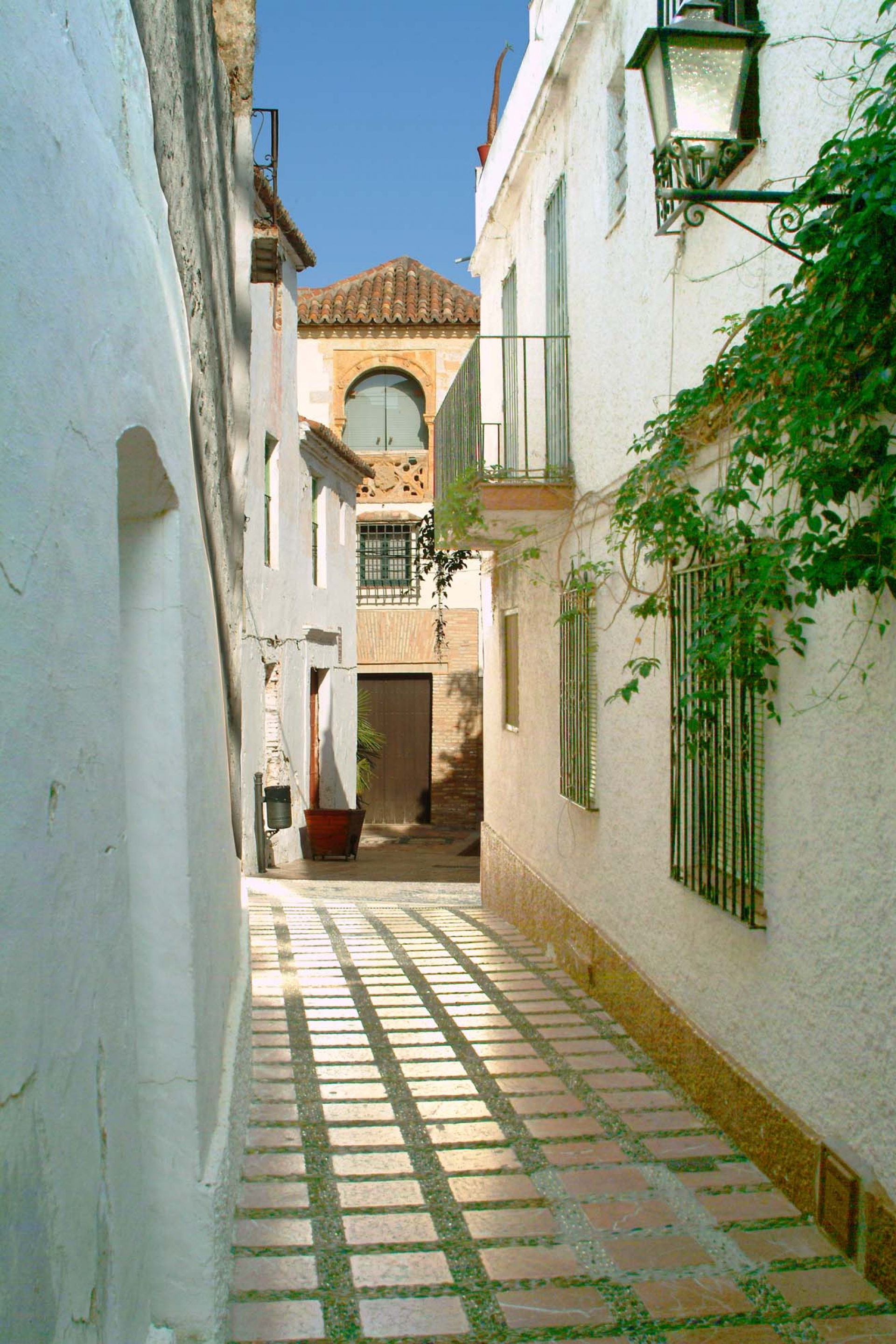 Calle Viento