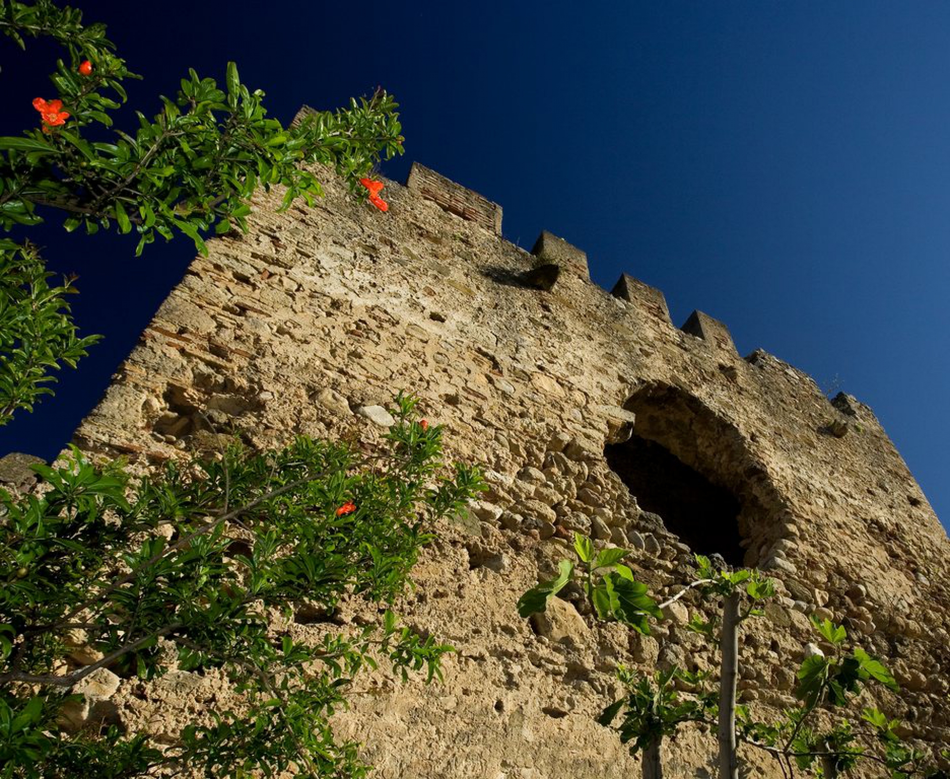 Muralla arabe del castillo