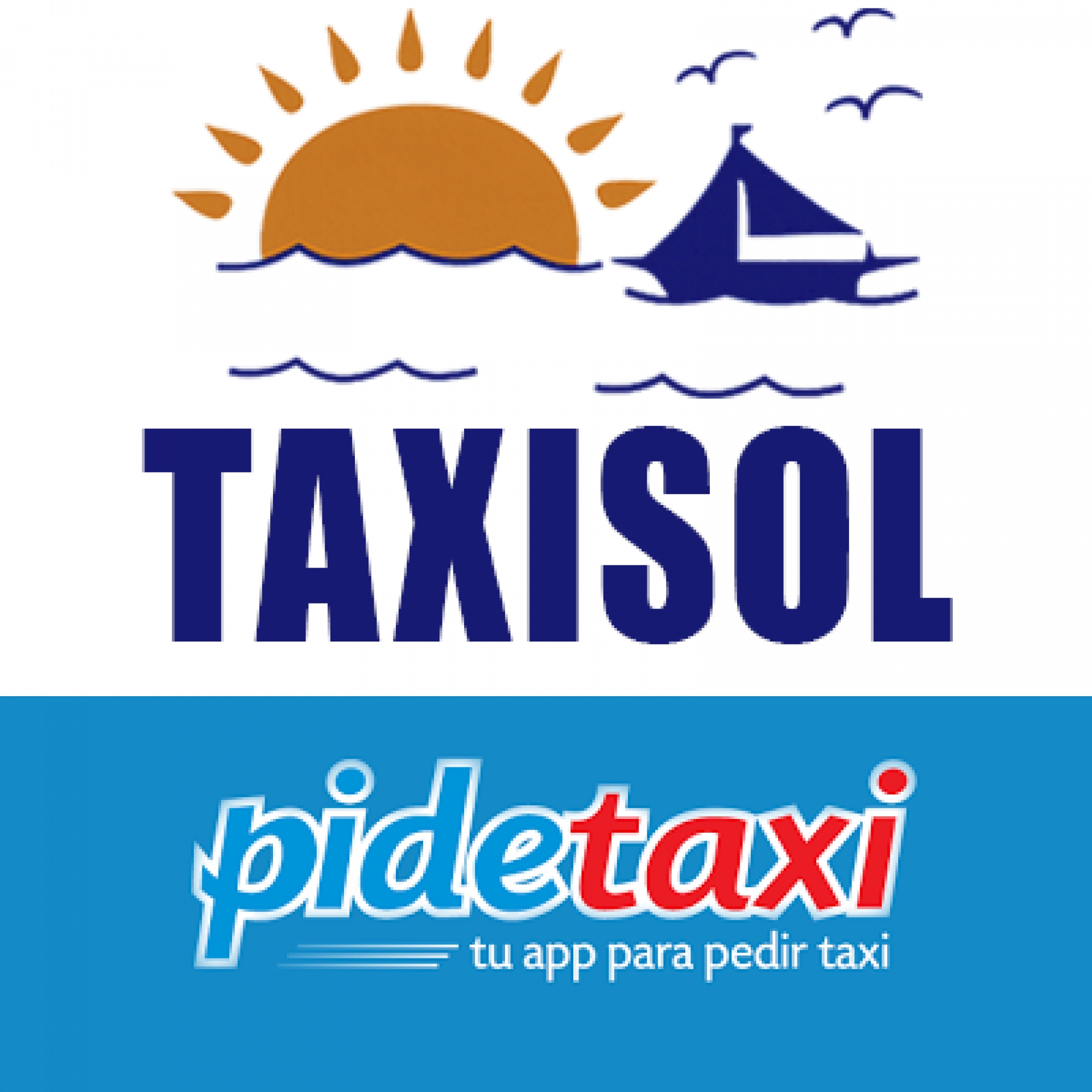 Taxisol
