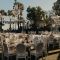 Caprichia Weddings + Events
