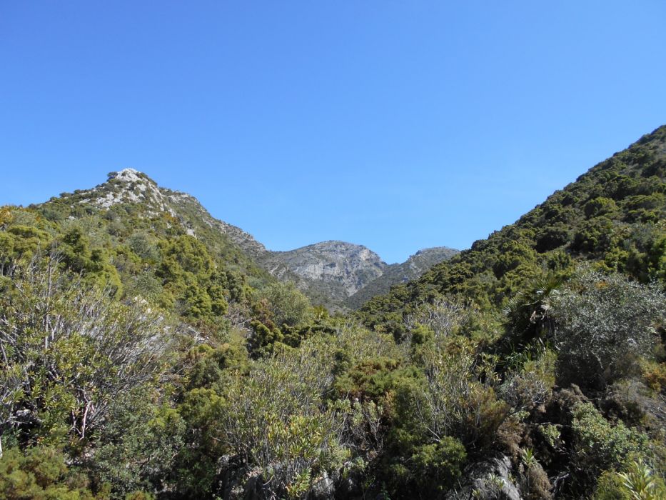 Istán - Ojén (PR-A 167)