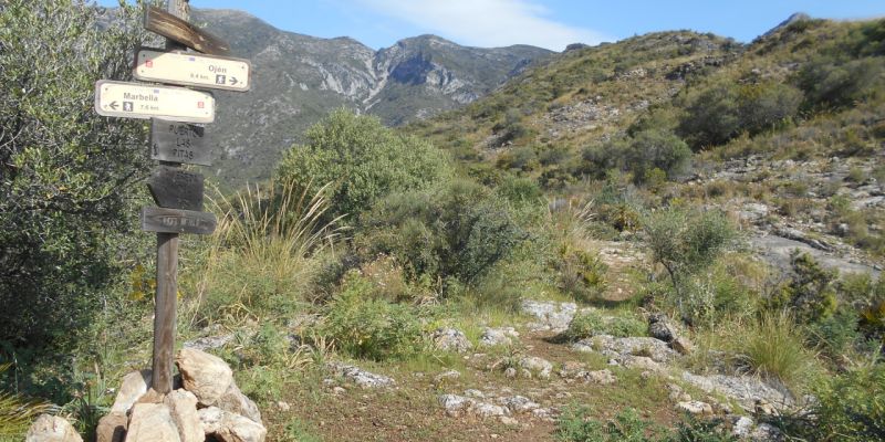 Vereda del Faro (PR-A 429)