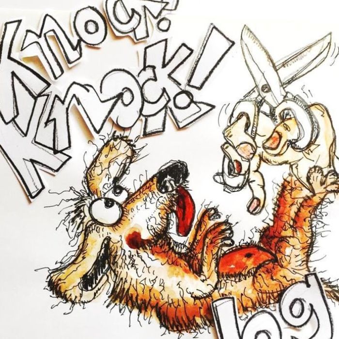 Knock Knock Dog
