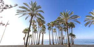 Paseo Marítimo San Pedro
