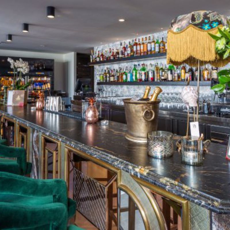 Monkey Club Marbella