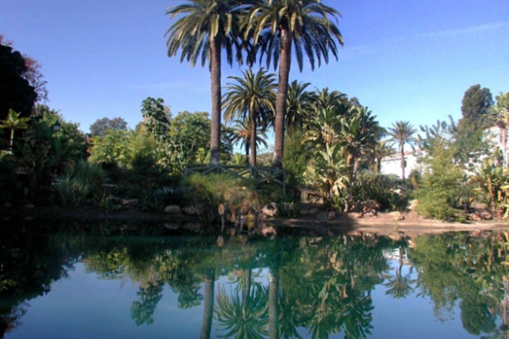 Jardín El Ángel