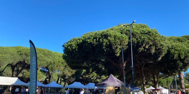 Mercadillo Ecológico