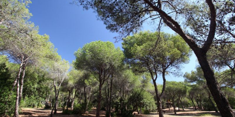 Parque de Nagüeles