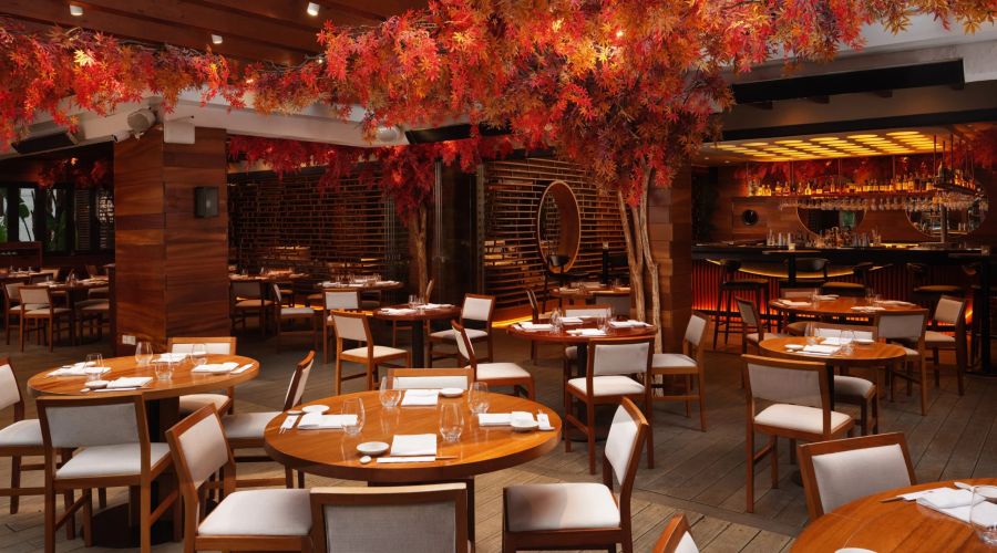 Nobu Marbella - Restaurante