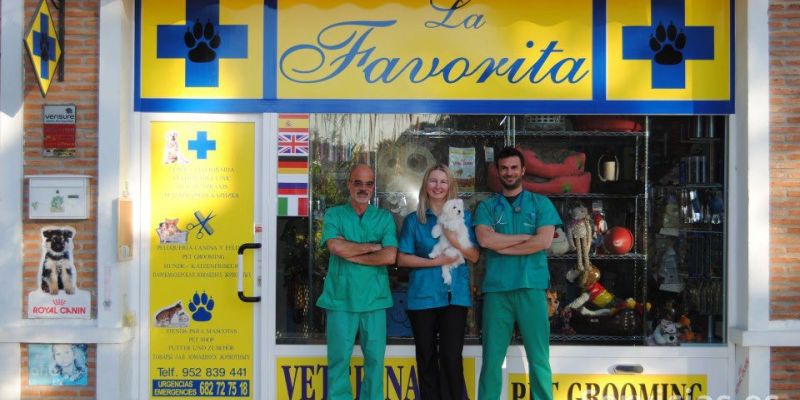 La Favorita Marbella