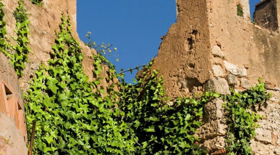Castillo de Marbella: Alcazaba y Muralla