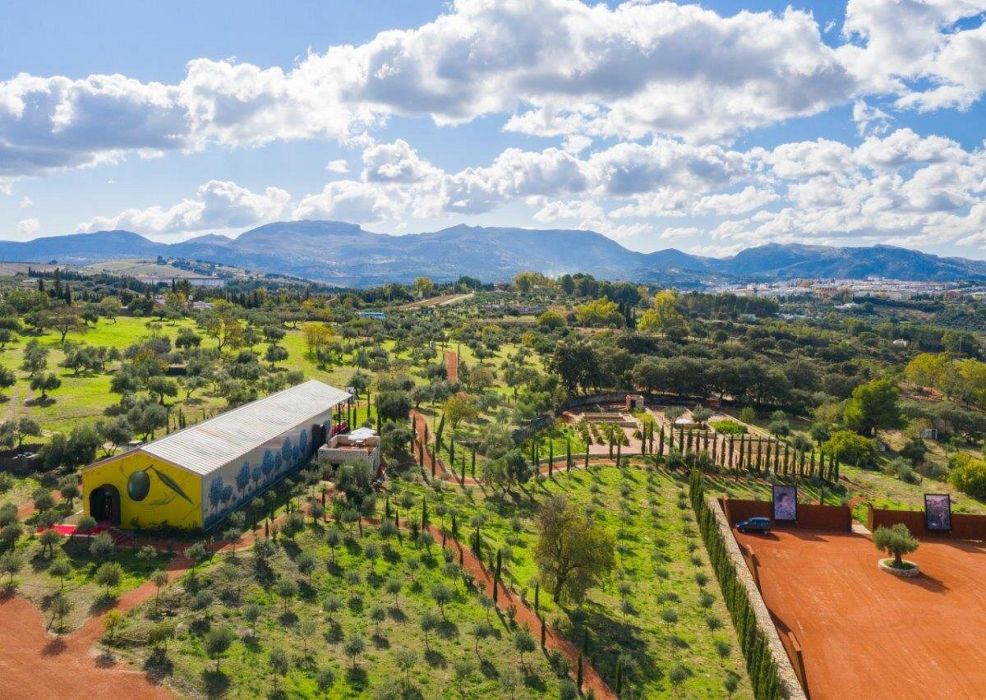 Visita Almazara LA Organic, Ronda