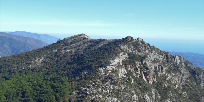Tajo Negro