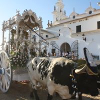 Salida peregrinacíón de la Virgen del Rocío