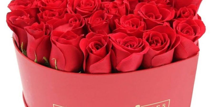 Provocateur Roses
