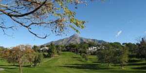 Golf Aloha