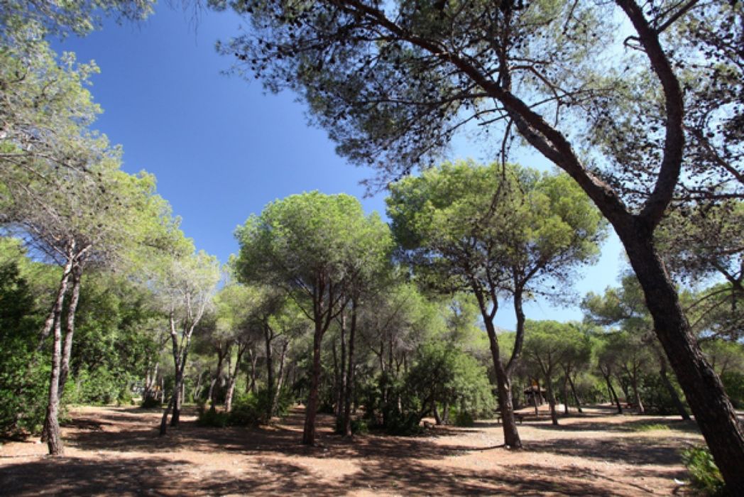 Parque de Nagüeles