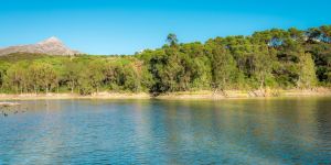 Lago de las Tortugas