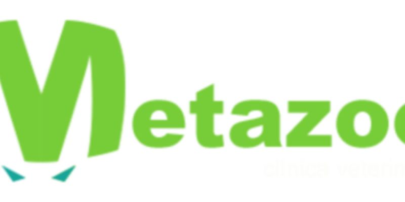 Metazoo