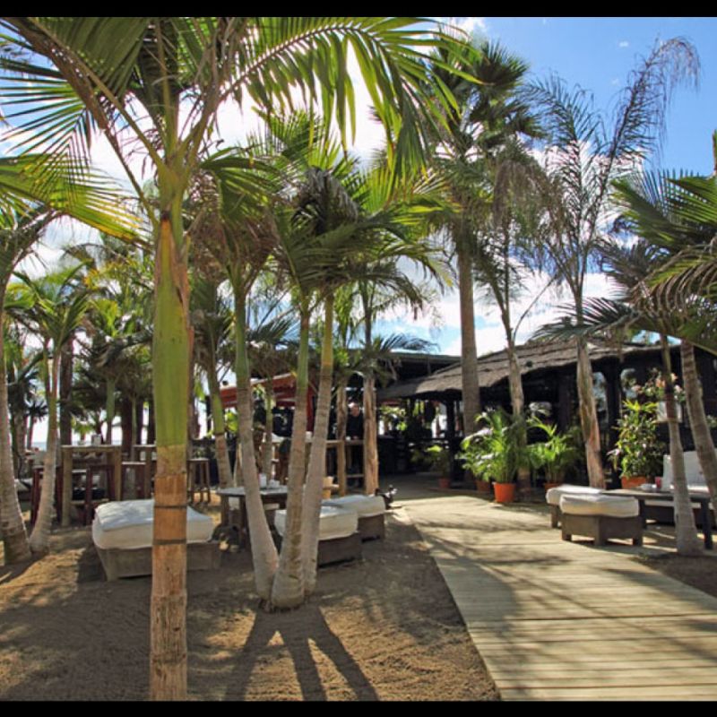 Trocadero Playa