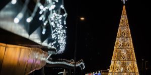 Arbol de Navidad San Pedro