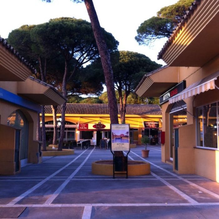 Los Pinares de Elviria