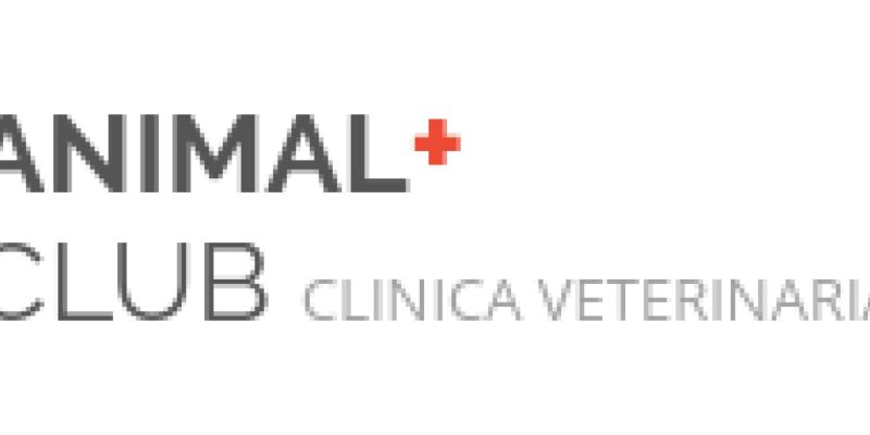 Animal Club