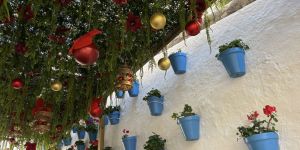 Calle Carmen Navidad
