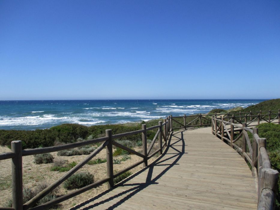 Dunas de Artola