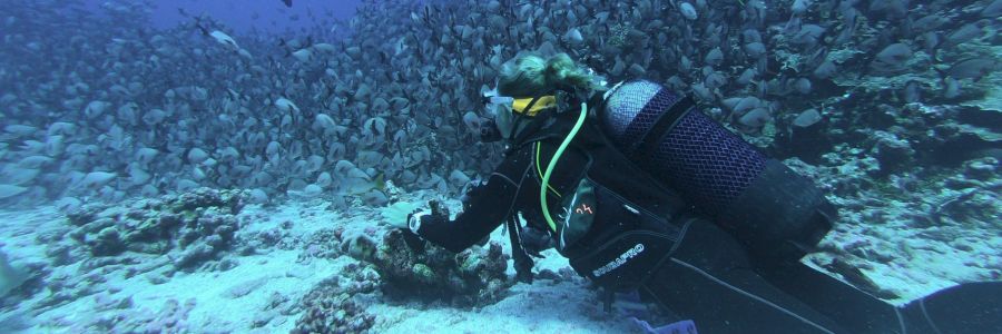 Zonas de submarinismo