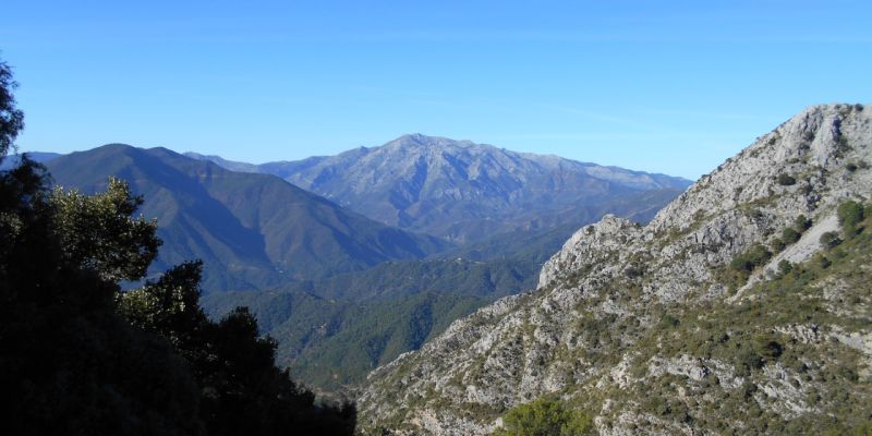 Senda José Lima - Pozuelo  (PR-A 278)