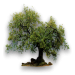 Naturaleza de Marbella