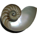 El Mar en Marbella