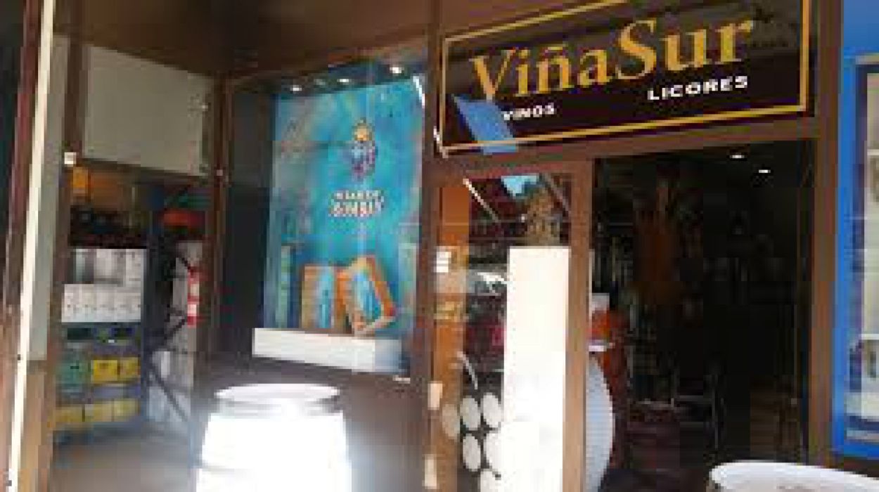 Viñasur Vinos y Licores