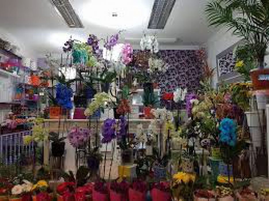 Floristería Dani Lima
