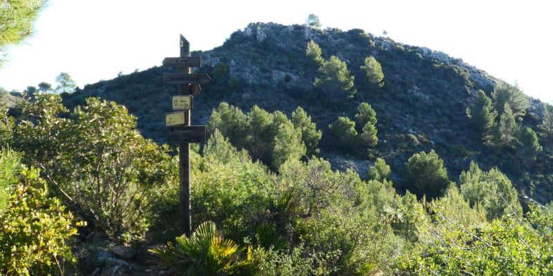 Marbella - Ojén (GR 249)