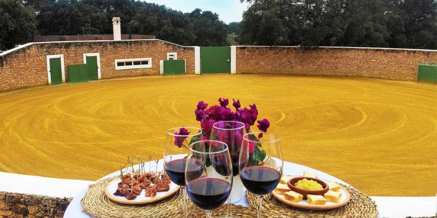 Visita Ganadería Reservatauro, Ronda
