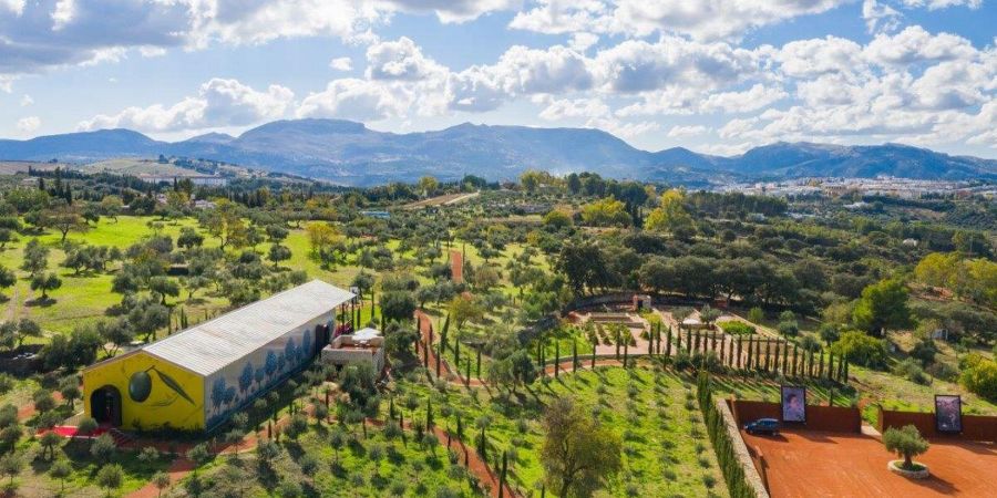 Visita Almazara LA Organic, Ronda