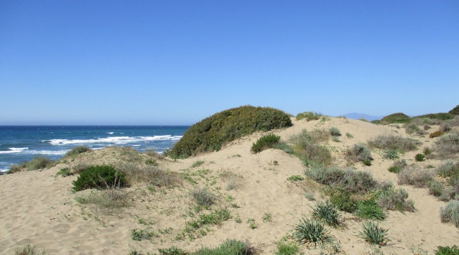 Dunas de Artola