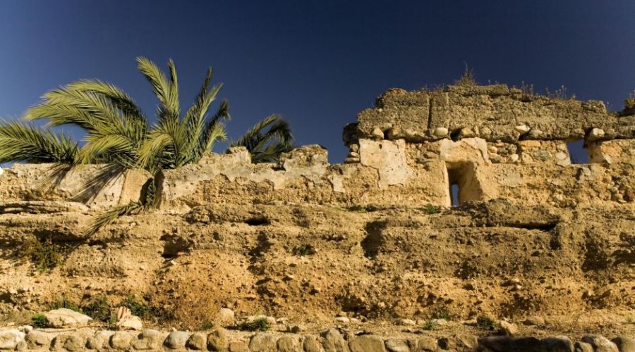 Castillo de Marbella: Alcazaba y Muralla
