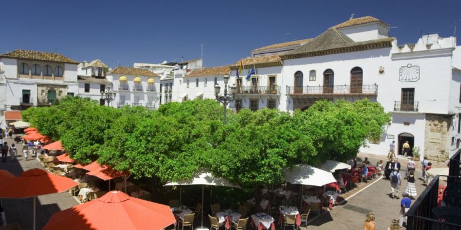Oficina de Turismo Plaza de los Naranjos