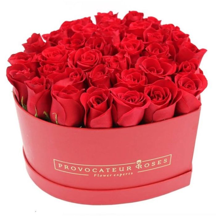 Provocateur Roses