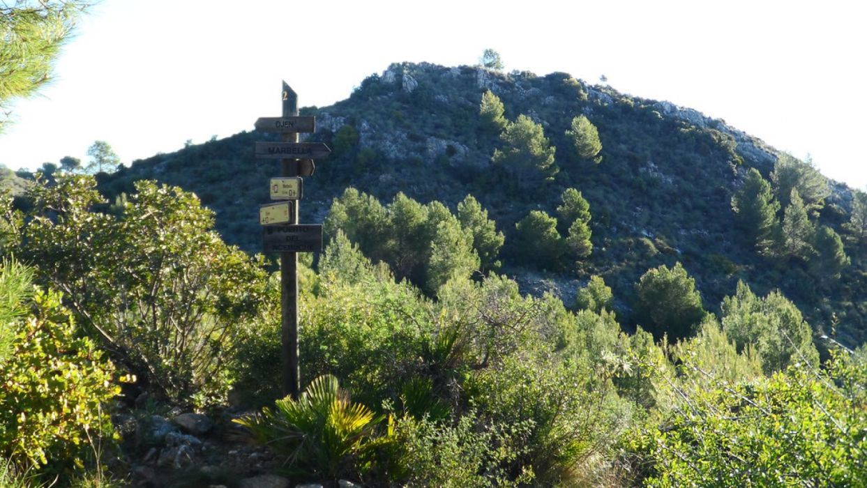 Marbella - Ojén (GR 249)