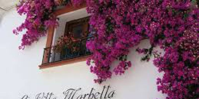 La Villa Marbella