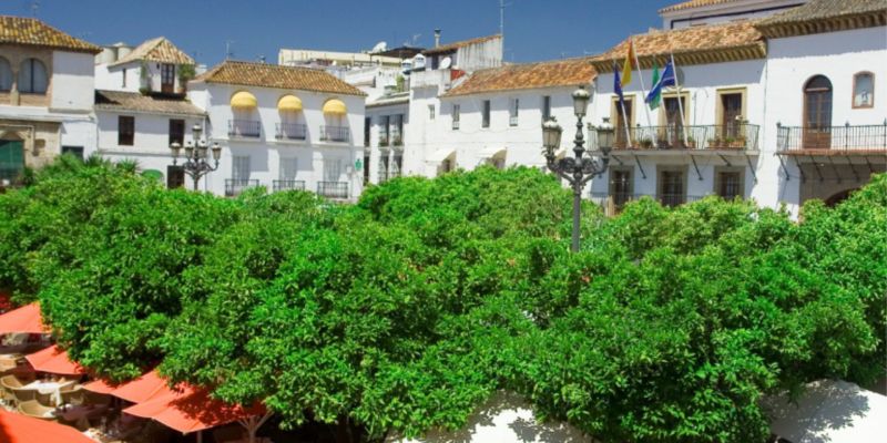 Plaza de los Naranjos