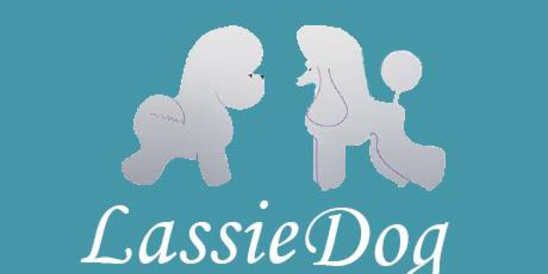 Lassiedog