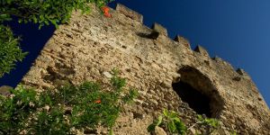 Muralla arabe del castillo