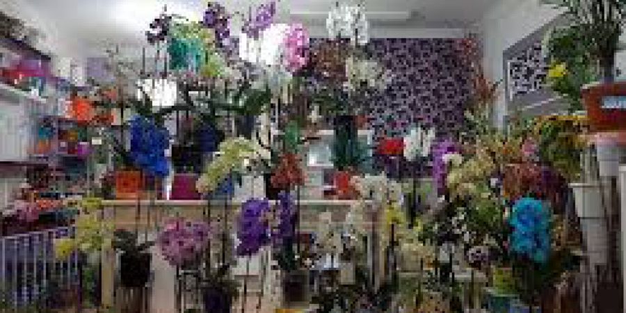 Floristería Dani Lima