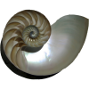 Mar