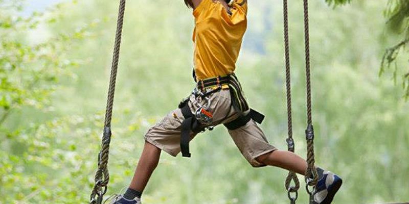 Aventura Amazonia